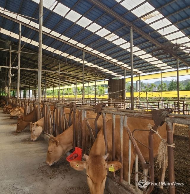 축산농가 사료 자금 551억 원 융자 지원