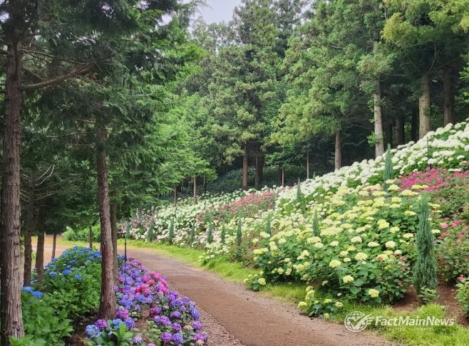 전남도 예쁜정원