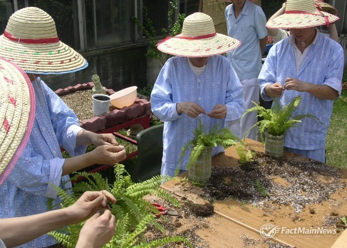 치유농업 프로그램