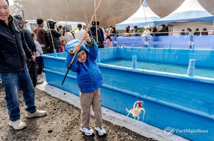 제24회 서천 동백꽃 주꾸미 축제, 27만 명 인파 몰려