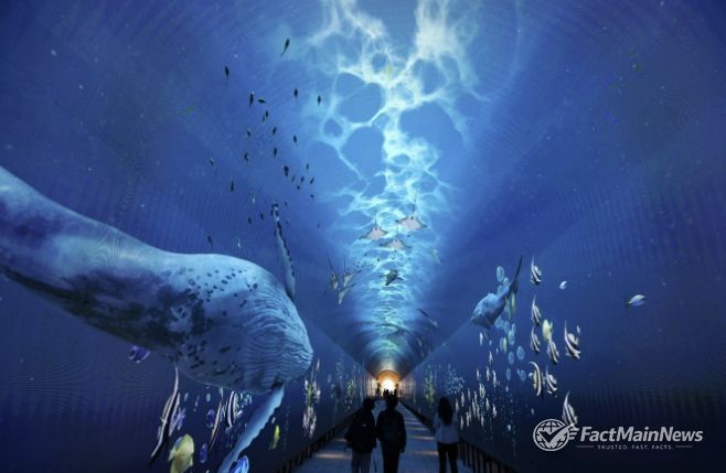 와부 빛터널공원 내부 모습